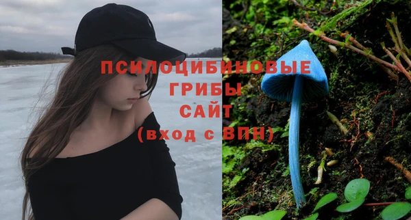 амф Алексеевка