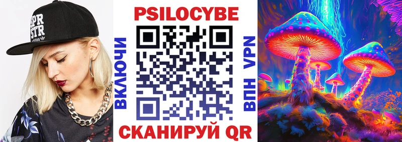 Галлюциногенные грибы Psilocybe  Большой Камень 